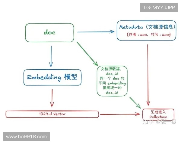 db体育入口用户的真实反馈与评价汇总